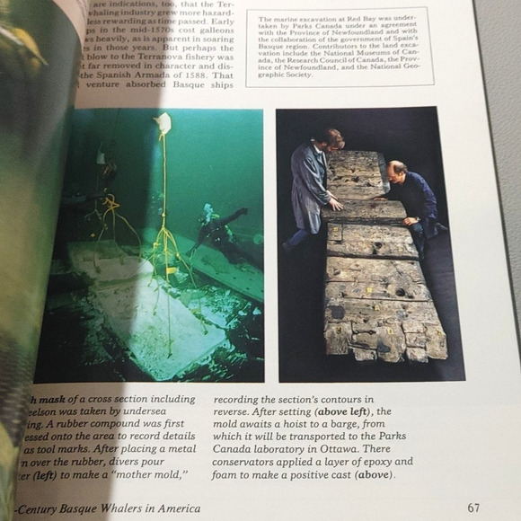 National Geographic Magazine July 1985 Basque Whaling Israel Iran Largest Flower - Picture 9 of 11